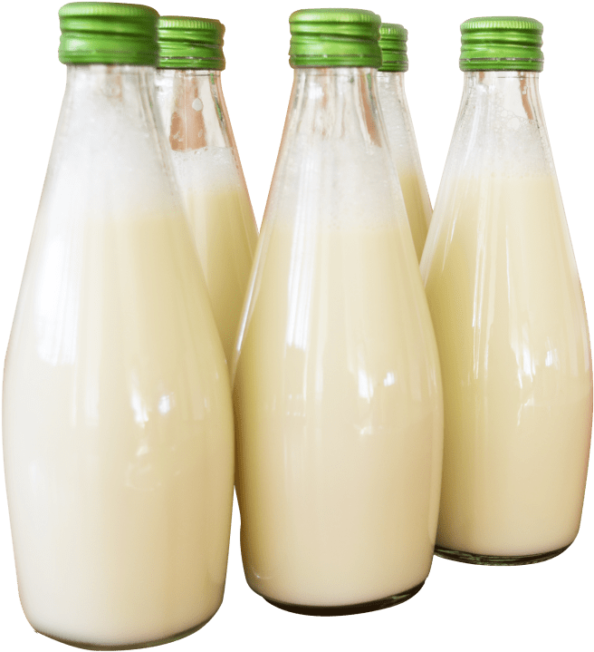 Free Png Milk Bottle Png Images Transparent - Milk In Bottle Png (850x801), Png Download