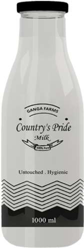 Milk Bottle - Glass Milk Bottle (246x500), Png Download