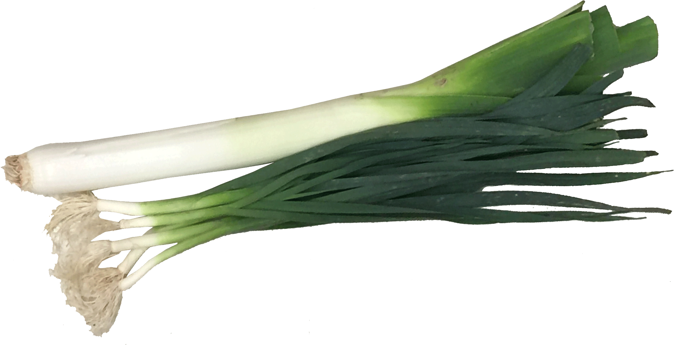 Green Garlic Png (2328x1200), Png Download