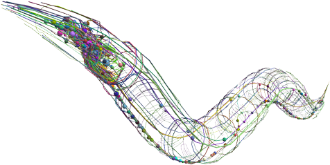 Openwormtransparent - Roundworms (500x283), Png Download