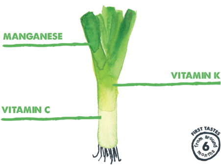 The Piccolo Leek - Piccolo Stage 1 (from 6mth) / Spring Greens Pear & (480x359), Png Download