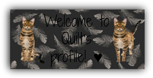 Photo Quilt 1 Zpsydyx2j13 - Pet Tales Game (522x272), Png Download