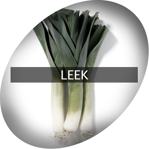 Landingimage Igrow Leek - Leek (480x480), Png Download