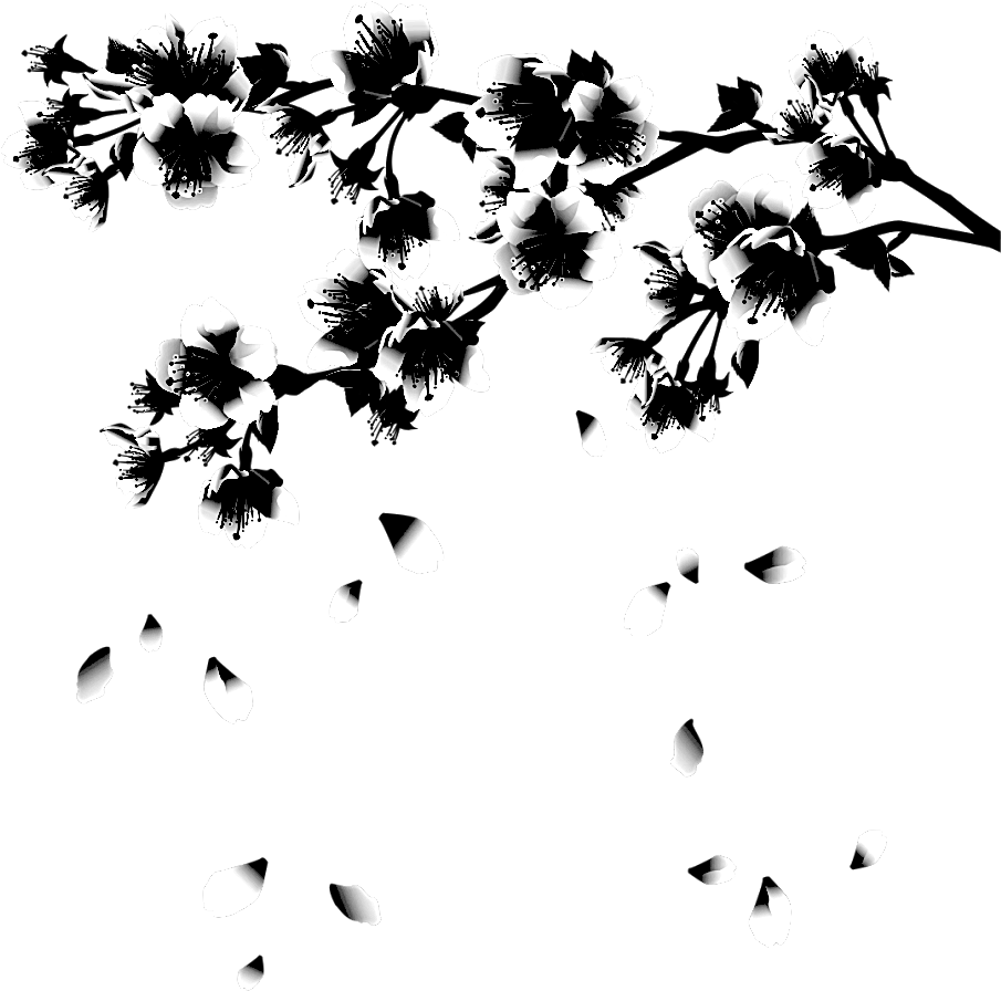 Art Print: Silvionka's Background Pattern With Sakura (928x984), Png Download