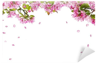 Apple Tree Blossom Branches And Falling Petals Wall - Flower Half Frame (400x400), Png Download