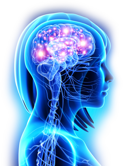 Neural Zoomer Is A Test That Shows Me If Your Immune - Bipolar 1 Disorder - How To Survive And Thrive (461x573), Png Download