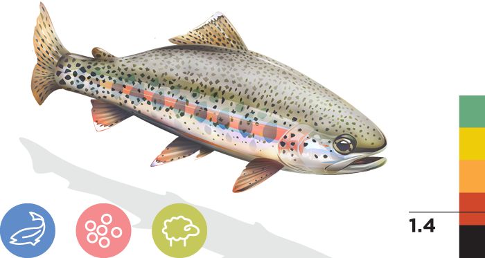 Kern River Rainbow Trout - Cal Trout Transparent (700x373), Png Download