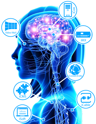 View Larger Image - Biometrics For Market Research (350x437), Png Download