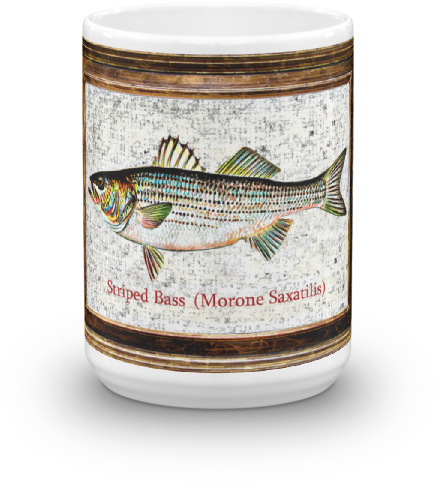Rainbow Trout Mug - Atlantic Salmon (500x500), Png Download