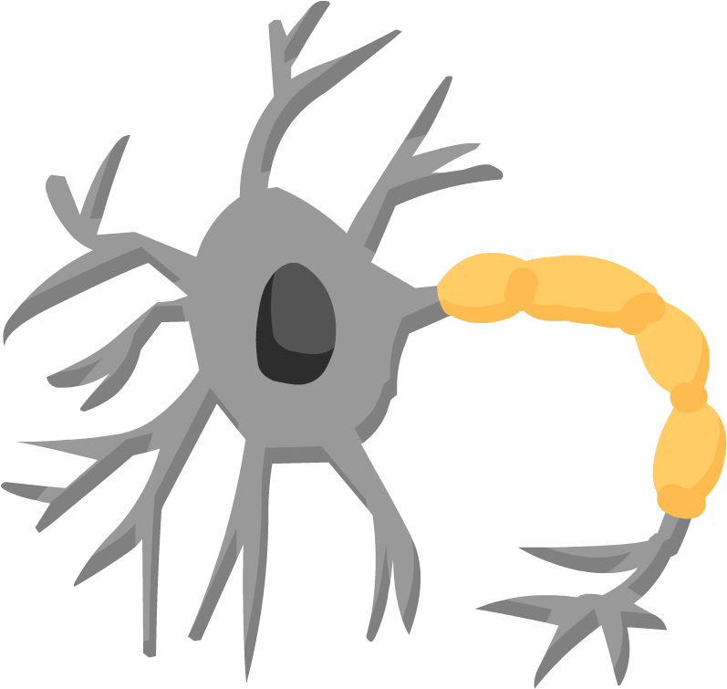 Nervous System Icon Png (880x880), Png Download
