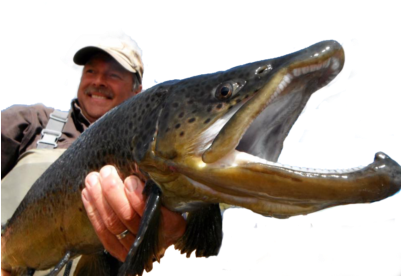 Fishing At Rainbow Is Legendery - Pull Fish Out Of Water (400x300), Png Download