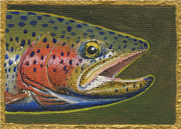Montana Rainbow - Trout (600x600), Png Download