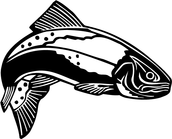 Black And White Trout (600x479), Png Download