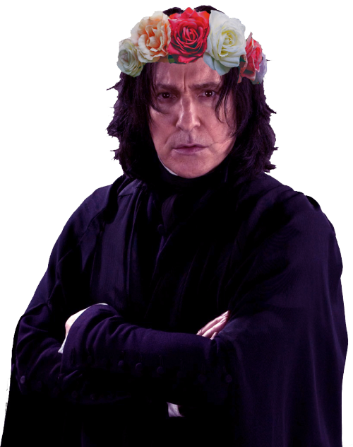 Snape Png - Kawaii Severus Snape (500x632), Png Download