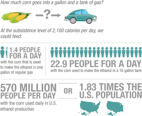 Researchers Crunch The Numbers On The Food Value Of - Ethanol Fuel Infographic (462x400), Png Download