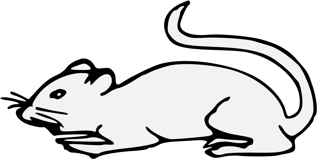 Details, Png (1308x681), Png Download
