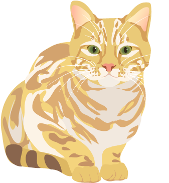 201408 Cat - Cat File Png (400x400), Png Download