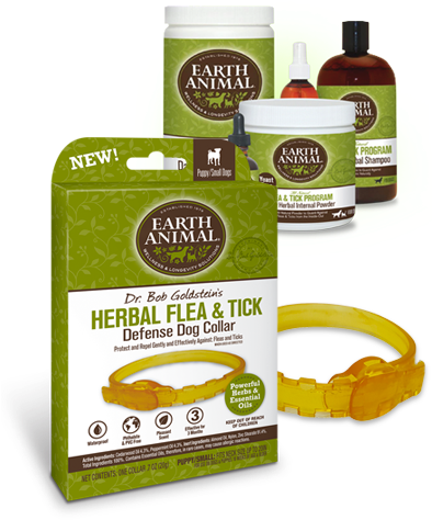 Flea Tick Icon - Earth Animal Herbal Flea & Tick Defense Dog Collar, (404x489), Png Download