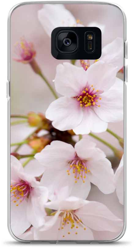 Ablyth Samsung Case, Travel Japan Series, Sakura - Cherry Blossom (1000x1000), Png Download