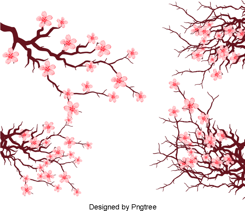Vector Pink Japanese Elements Cherry Blossom Branches - Cherry Blossom (800x800), Png Download