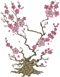 Sakura - Artificial Flower (674x518), Png Download