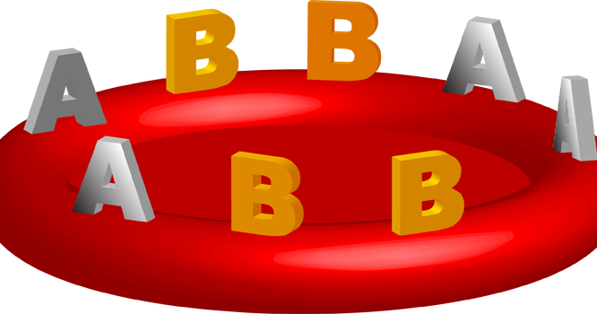 Red Blood Cell (666x350), Png Download