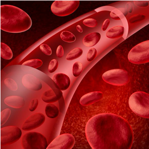 For A It Goes Through A Process Called Erythopoesis - Blood Cells Circulatory System (400x300), Png Download