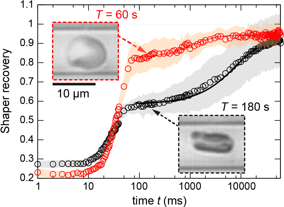 Resilient Red Blood Cells Need Fuel To Adapt Their - Plot (920x678), Png Download