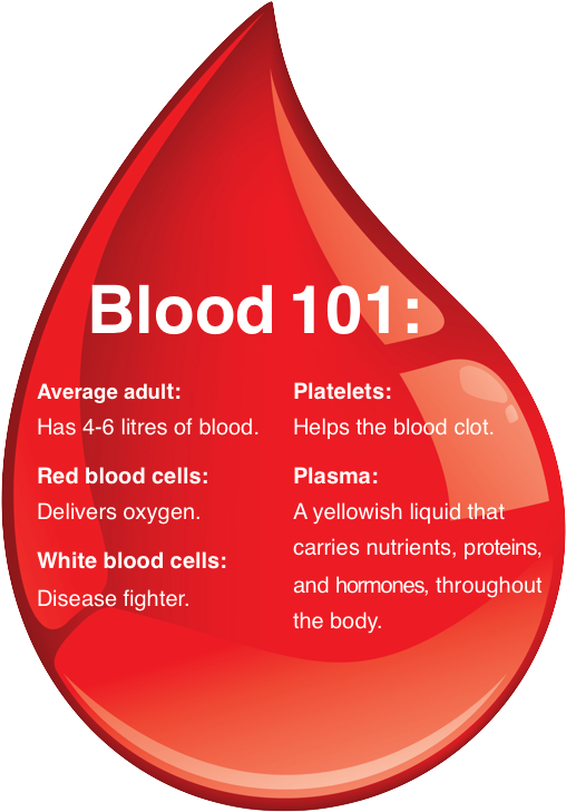 Does The Blood Carry (530x779), Png Download