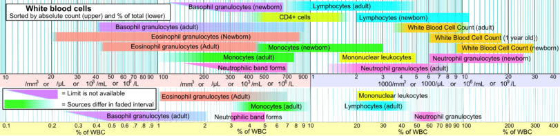 Reference Ranges For Blood Tests - Blood Cells Half Life (811x197), Png Download