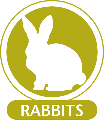 Monoclonal Antibodies For Use In Rabbits - Domestic Rabbit (360x417), Png Download