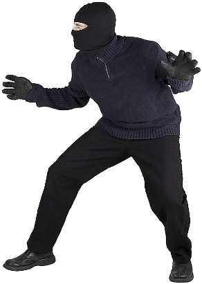 Peace Of Mind With An Nci System In Place - Burglars Png (300x420), Png Download