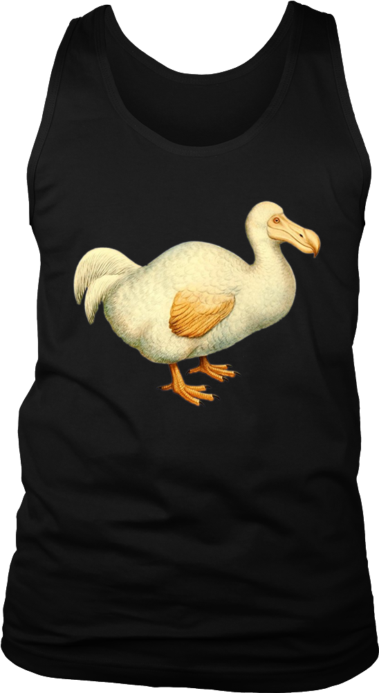 Dodo Bird Vintage Graphic T-shirt - Stevie Singer Nick T Shirt (1000x1000), Png Download