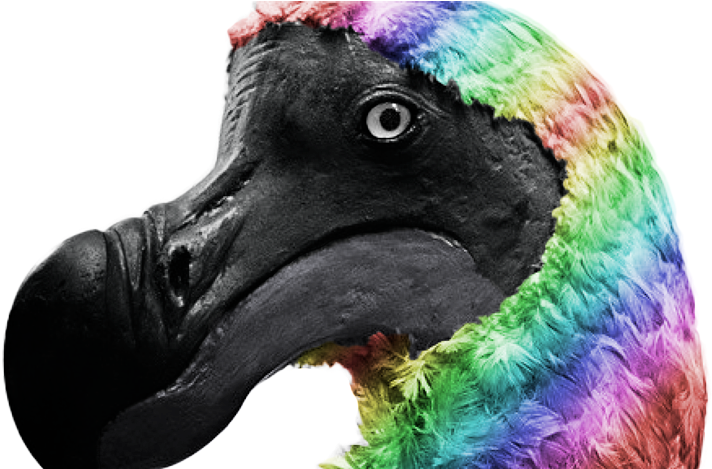 Support Gay Dodo Rights - Dodo Bird (720x468), Png Download
