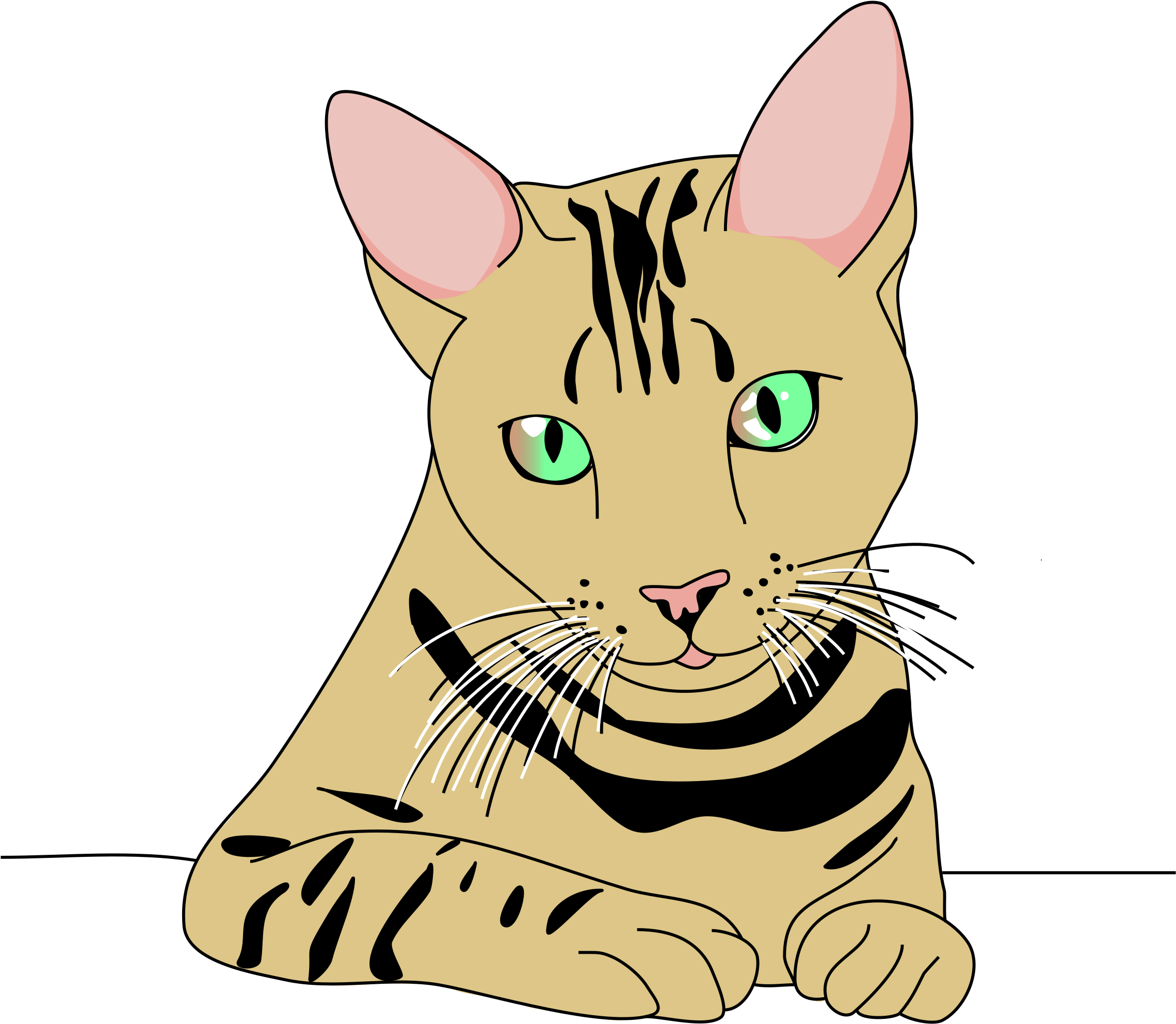 Animal Cat Cute - Official: Total Solar Eclipse 2017,cat Watching Eclipse (1280x1114), Png Download