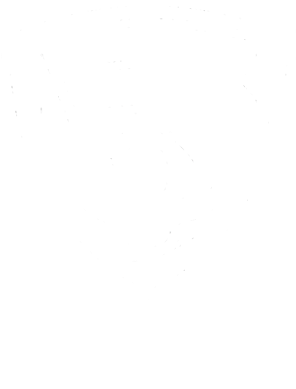 Manhattan Sports Business Academynets Logo Png - Brooklyn Nets (500x500), Png Download
