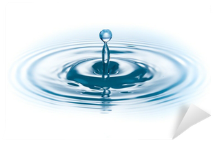 Cyprès (huile Essentielle Bio) (400x400), Png Download