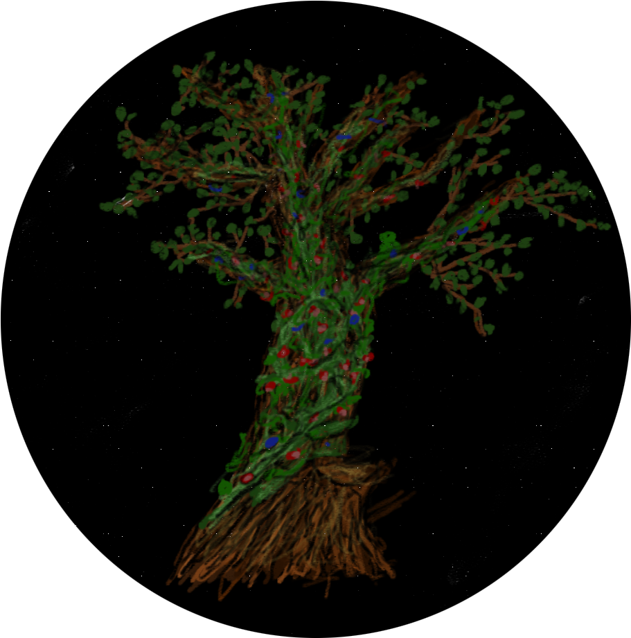 The Tree In My Drawing Does Not Actually Exist, It - Tree (972x969), Png Download