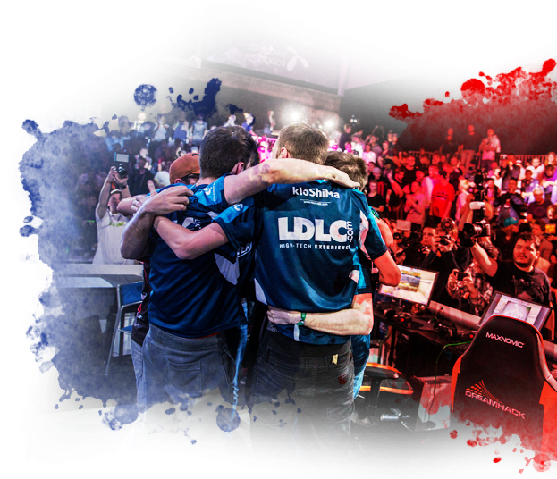 Fnatic Came Into The Final Major Of The Year As The - Crowd (639x535), Png Download