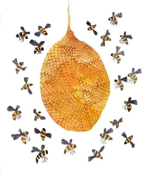 Honey Bee Hives Honey Bees - Watercolour Bee Hive (500x628), Png Download