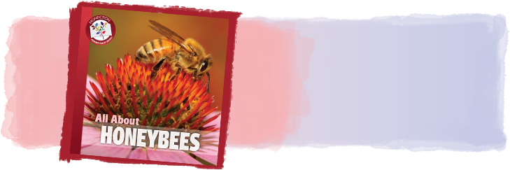 Honeybee (728x250), Png Download