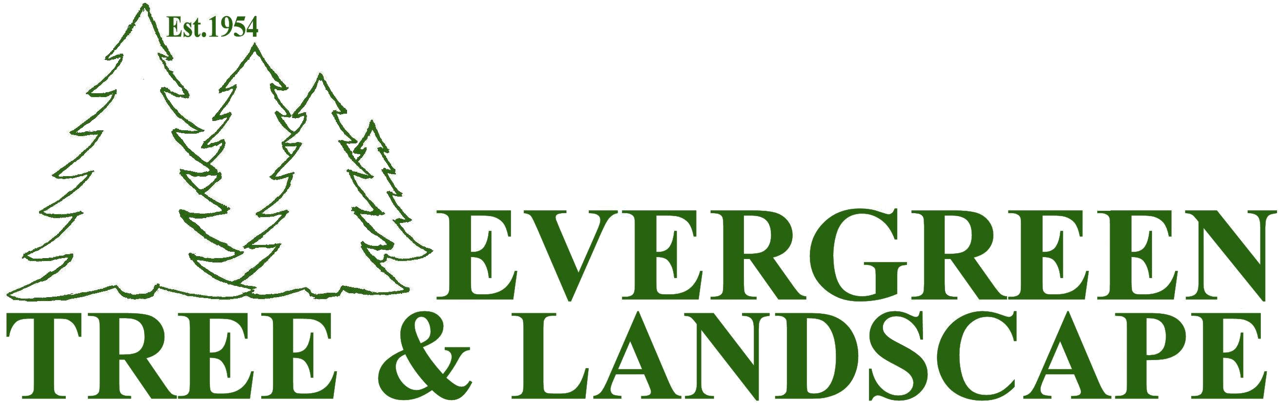 2018 Evergreen Tree And Landscape - The Brick Lane Gallery (2642x855), Png Download