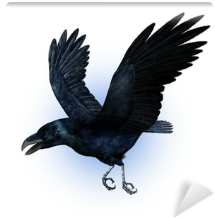 Raven In Flight (400x400), Png Download