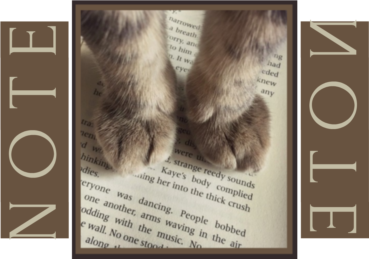 Download Note Oc Cat Paws On Book Full Size PNG Image PNGkit