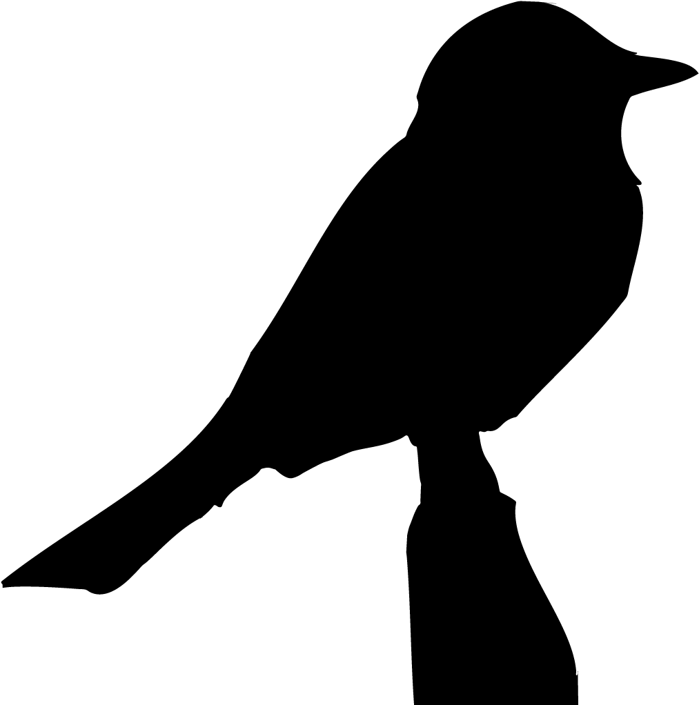 All About Birds (1024x1024), Png Download