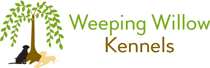 Parcelles Assainies (750x250), Png Download