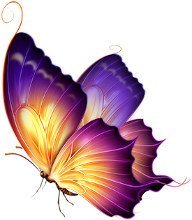 Butterfly - Colour Butterfly Png (328x370), Png Download