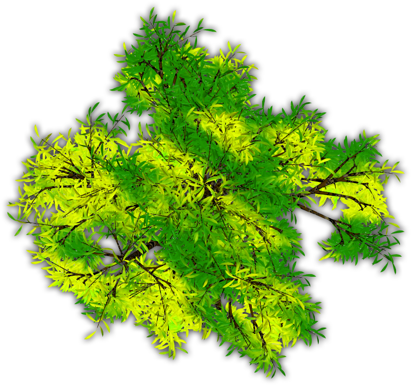 Snowy Pine C 06 Feb 2009 - Tree (829x776), Png Download