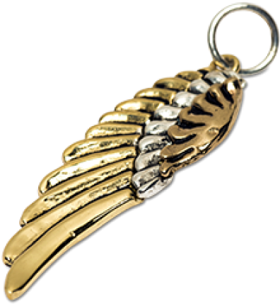 Large Angel Wing Charm - Feather (540x540), Png Download