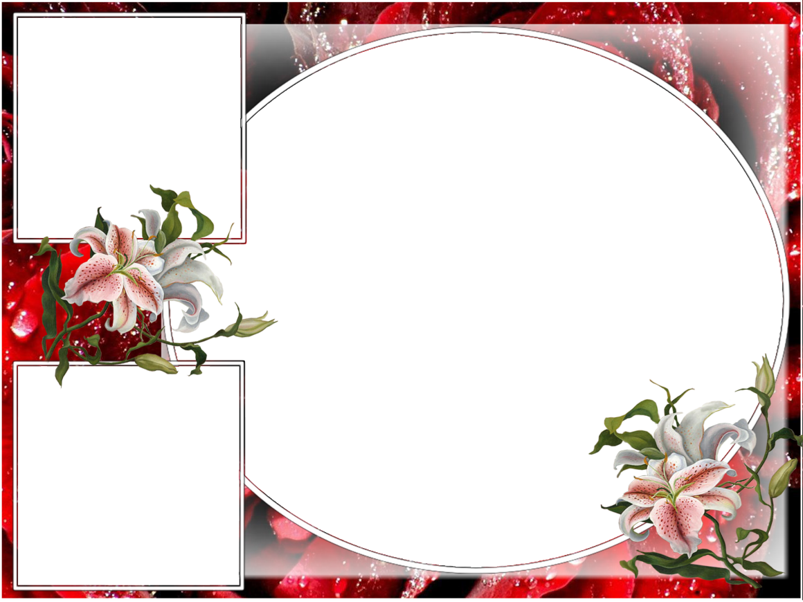 Photography (1160x870), Png Download